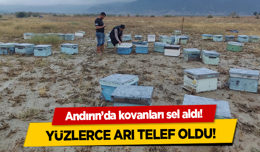 Andırın’da kovanları sel aldı! Yüzlerce arı telef oldu!