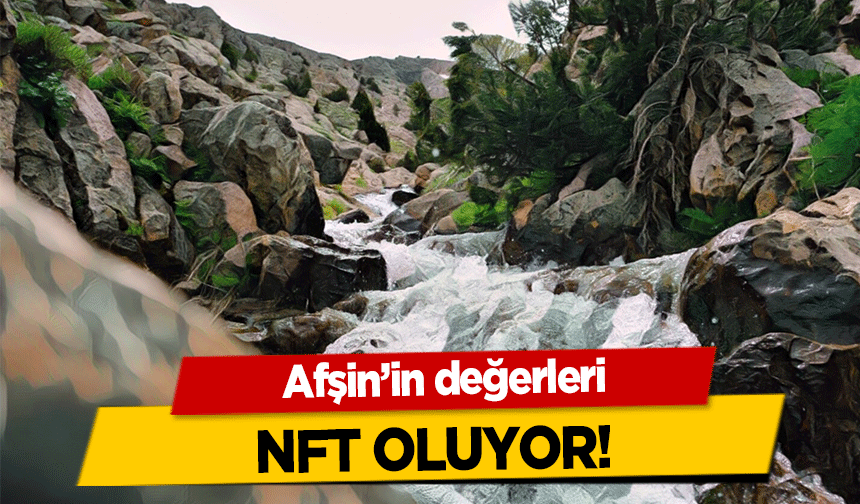 Afşin’in değerleri NFT oluyor!