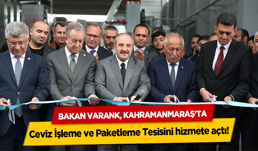 Bakan Varank, Kahramanmaraş'ta Ceviz İşleme ve Paketleme Tesisini hizmete açtı!