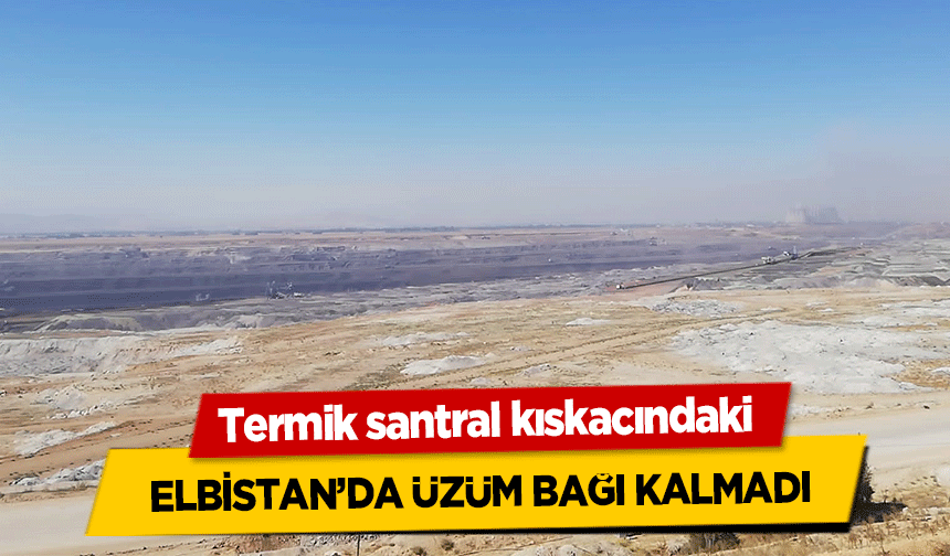 Termik santral kıskacındaki Elbistan’da Üzüm Bağı Kalmadı