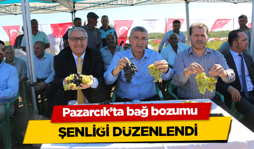 Pazarcık’ta bağ bozumu şenliği düzenlendi