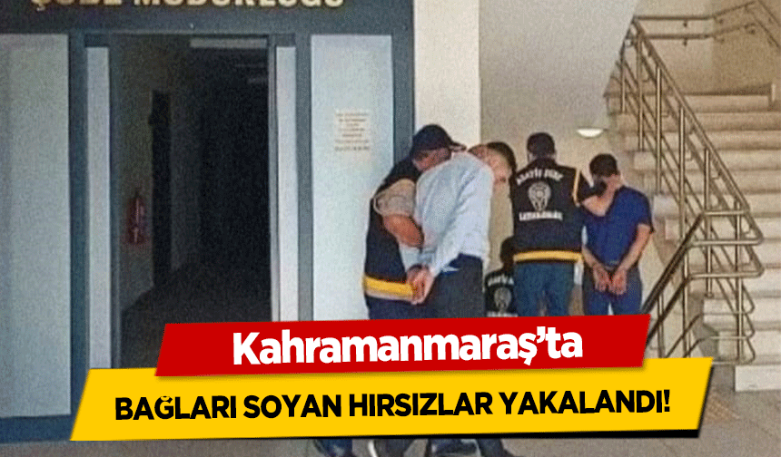Kahramanmaraş’ta bağları soyan hırsızlar yakalandı!