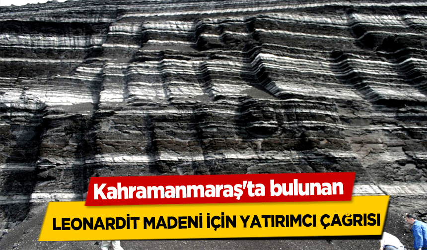 Kahramanmaraş'ta bulunan Leonardit Madeni İçin Yatırımcı Çağrısı