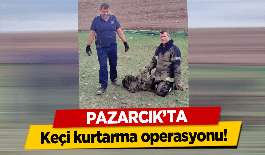 Pazarcık’ta keçi kurtarma operasyonu!