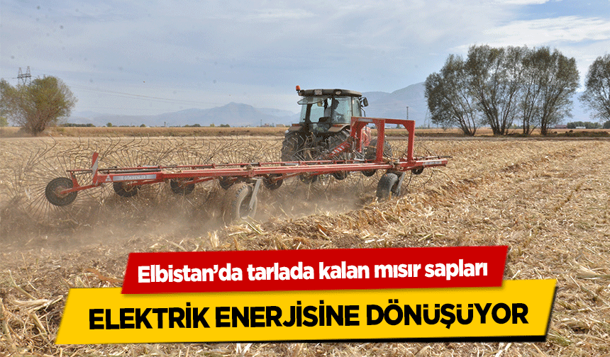 Elbistan’da tarlada kalan mısır sapları elektrik enerjisine dönüşüyor