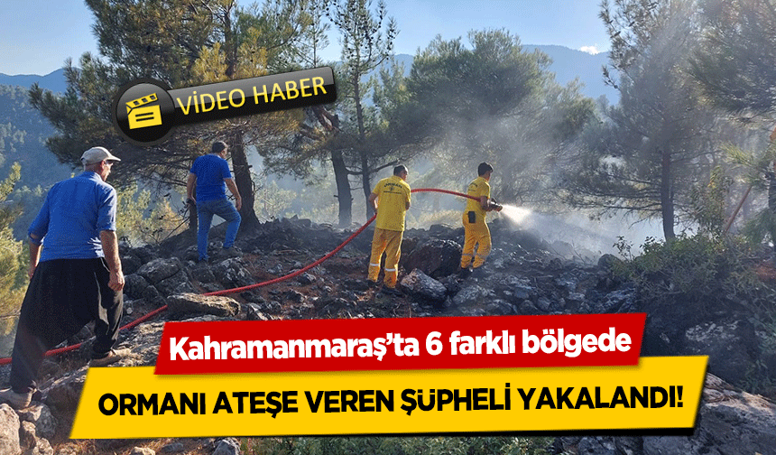 Kahramanmaraş’ta ormanı ateşe veren şüpheli yakalandı!