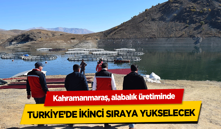 Kahramanmaraş, alabalık üretiminde Türkiye’de İkinci Sıraya Yükselecek