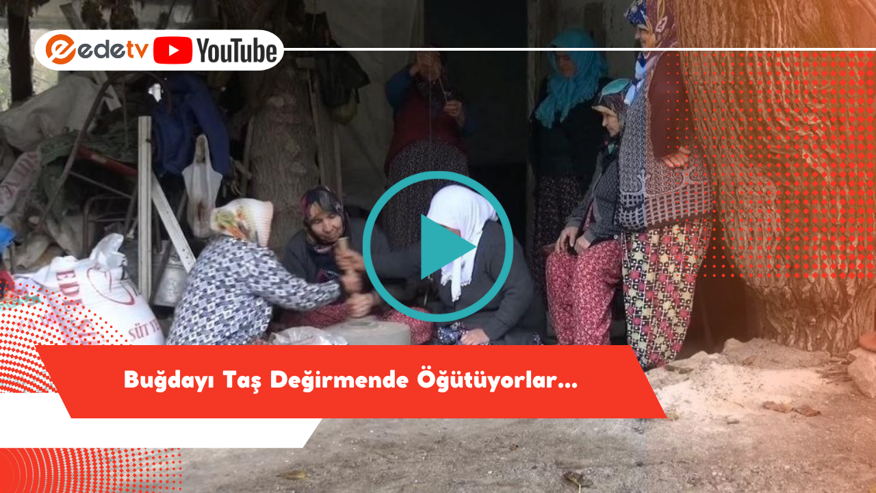 Piknikçiler fırsatı kaçırmadı