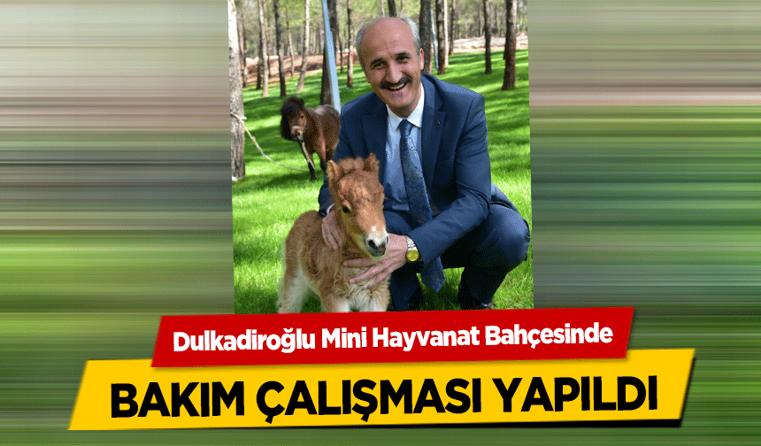 Dulkadiroğlu Mini Hayvanat Bahçesinde bakım çalışması yapıldı
