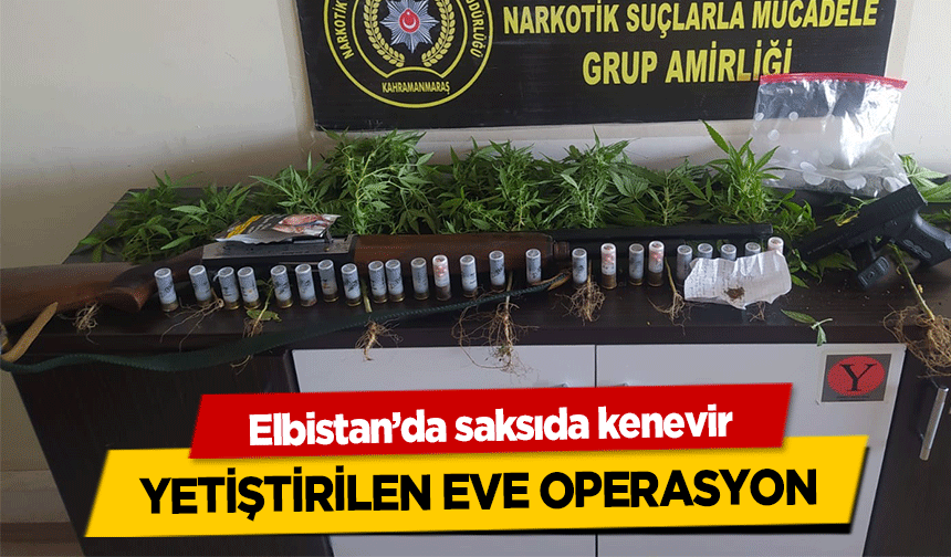 Elbistan’da saksıda kenevir yetiştirilen eve operasyon