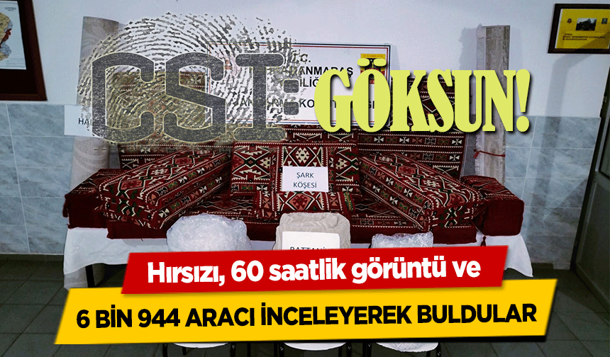 Hırsızı, 60 saatlik görüntü ve 6 bin 944 aracı inceleyerek buldular