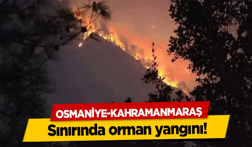 Osmaniye-Kahramanmaraş sınırında orman yangını!