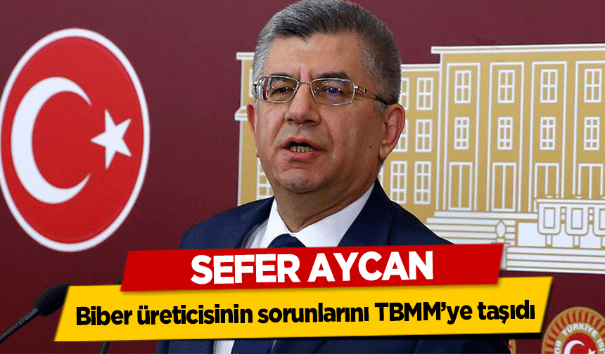 Sefer Aycan, Biber üreticisinin sorunlarını TBMM’ye taşıdı