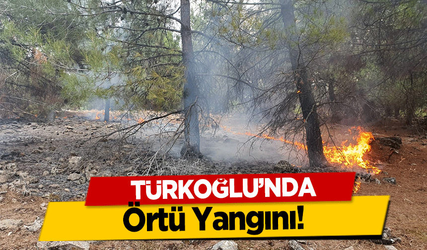 Türkoğlu’nda örtü yangını!