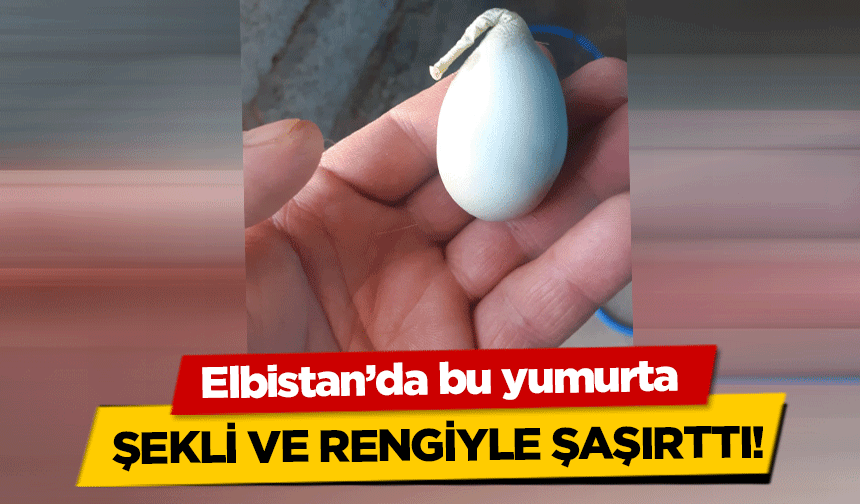 Elbistan’da bu yumurta şekli ve rengiyle şaşırttı!