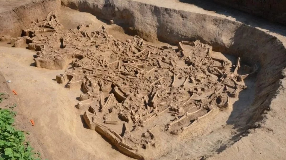 Başı kesik 38 ceset şoku!
