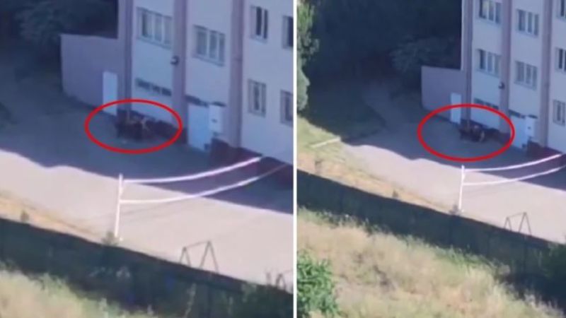 Lisenin bahçesinde cinsel ilişkiye girdiler! Büyük rezalet