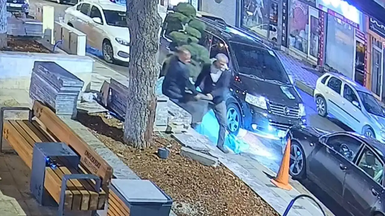 Kahramanmaraş'ta böyle bir olay görülmedi: Resmen ağaç çalındı