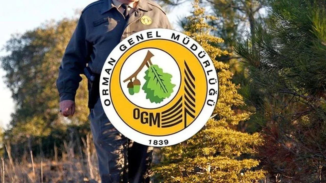 OGM, Kahramanmaraş’ta 10 Pozisyon İçin İş Başvurusu Kabul Ediyor